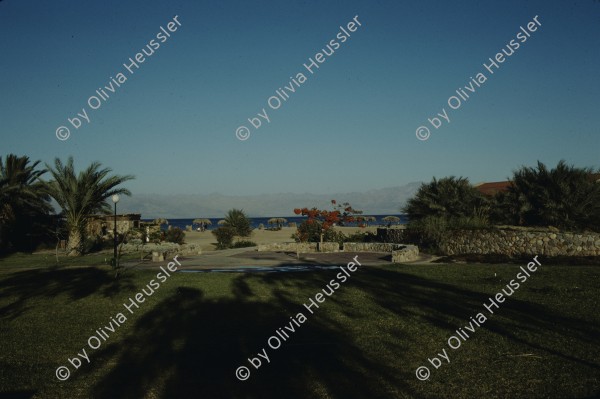 Image of sheet 19803002 photo 22: Moshave am roten Meer, Sinai, Israel 1980.