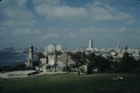 Image of sheet 19803002 photo 56: Haifa, Israel 1980.