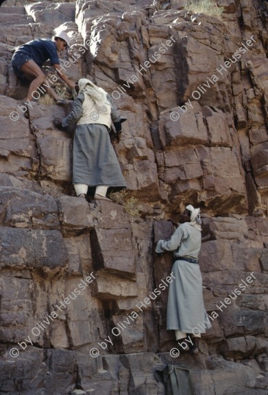 Image of sheet 19803002 photo 61: Beduinen klettern mit einem Israelischen Naturfreund,  Sinai Wüste, Israel 1980.