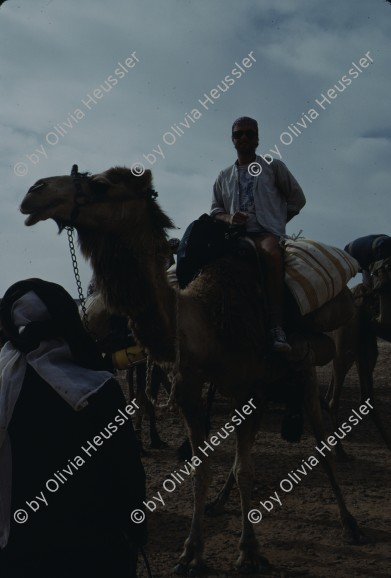 Image of sheet 19803002 photo 62: Tourist auf Kamel, Sinai Wüste, Israel 1980.