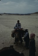 Image of sheet 19803002 photo 64: Tourist auf Kamel mit Beduinen, Sinai Wüste, Israel 1980.