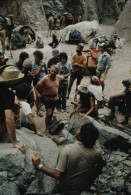 Image of sheet 19803002 photo 68: Touristengruppe mit Kamelen, Sinai Wüste, Israel 1980.