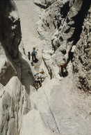 Image of sheet 19803002 photo 71: Friends of Nature climbing in Wadi at the Sinai Desert, Israel 1980.