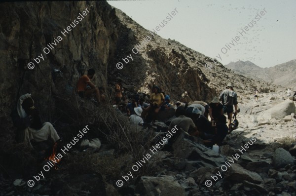 Image of sheet 19803002 photo 74: Friends of Nature at the Sinai Desert, Israel 1980.