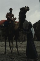 Image of sheet 19803002 photo 8: Tourist auf Kamel mit Beduine, Sinai, Israel 1980.