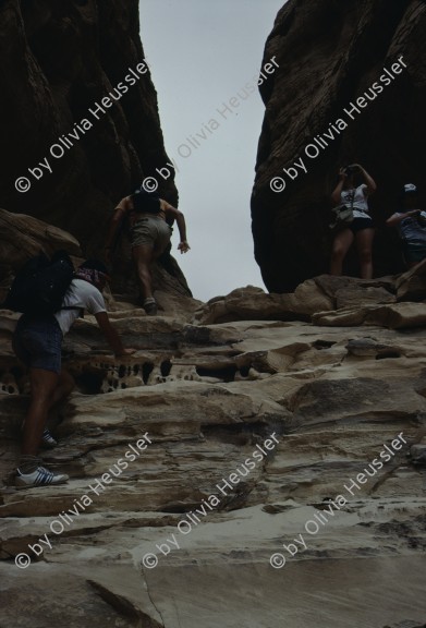 Image of sheet 19803002 photo 84: Friends of Nature climbing at the Sinai Desert, Israel 1980.