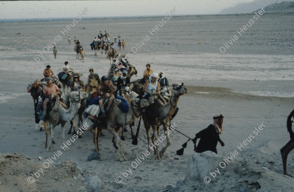 Image of sheet 19803002 photo 85: Tourists with Friends of Nature and Beduins on Camels in the Sinai Desert, Israel 1980.