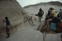 Image of sheet 19803002 photo 87: Tourists with Friends of Nature on Camels at the Sinai Desert, Israel 1980.