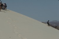 Image of sheet 19803002 photo 88: Touristen beim Sandsurfing in der Sinai Wueste, Israel 1980.