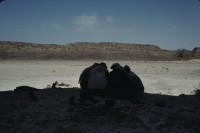 Image of sheet 19803002 photo 98: Beduins in the Sinai Desert, Israel 1980.