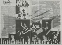 Image of sheet 19810040 photo 3: The Bucks Rams für LP.
cover