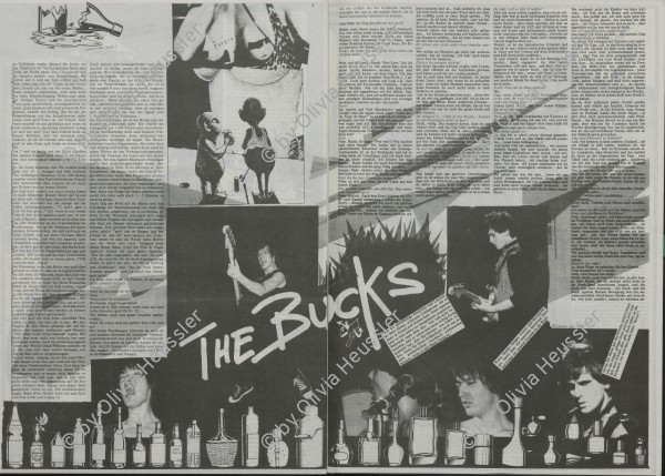 Image of sheet 19810040 photo 3: The Bucks Rams für LP.
cover