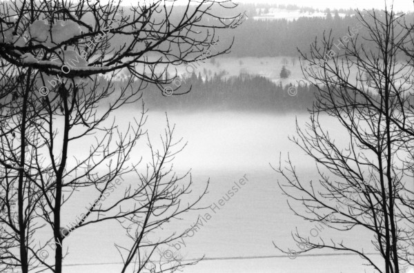 Image of sheet 19810071 photo 1: Le Sentier im Nebel, Vallée de Joux, Kanton Waadt 1981.