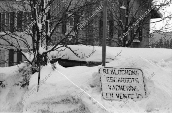 Image of sheet 19810071 photo 20: Le Sentier, Vallée de Joux mit viel Schnee. Escargot Vacherin en Vente ici, Kanton Waadt 1981.