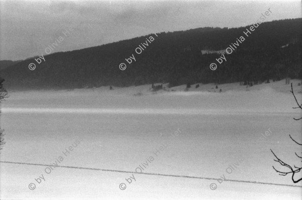 Image of sheet 19810071 photo 4: Gefrorener See,  Vallée de Joux mit Schnee, Kanton Waadt 1981.