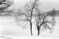 Image of sheet 19810071 photo 6: Le Sentier Vallée de Joux mit viel Schnee, Kanton Waadt 1981.