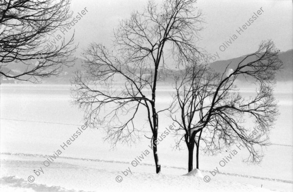 Image of sheet 19810071 photo 6: Le Sentier Vallée de Joux mit viel Schnee, Kanton Waadt 1981.