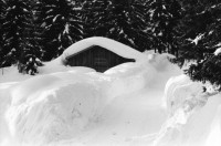 Image of sheet 19810071 photo 7: Chalet, Le Sentier Vallée de Joux mit viel Schnee, Kanton Waadt 1981.