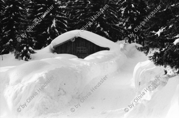 Image of sheet 19810071 photo 7: Chalet, Le Sentier Vallée de Joux mit viel Schnee, Kanton Waadt 1981.