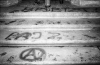 Image of sheet 19810130 photo 8: SchindlergutAJZ  Besetzung mit Vollversammlung Graffiti Zürich, 1981.
»Wir werden noch leben, Ihr seid schon lange tot!!«