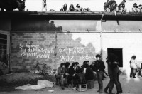 Image of sheet 19810162 photo 27: Jugendbewegung Zürcher Bewegung Autonomes Jugendzentrum
Youth movement Zürich Schweiz Switzerland