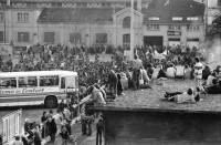 Image of sheet 19810162 photo 35: frtsg.810161 21.März 1981
An der bewilligten «Frühlingsdemonstration» nehmen rund 8000 Personen teil. Als der Zug das AJZ erreicht, dringen Tausende in das Areal des AJZ ein, und besetzen es. Während ein Teil des Zuges seinen Weg Richtung Helvetiaplatz fortsetzt. Am Abend räumt die Polizei das Gelände des AJZ: Gewalttätige Auseinandersetzungen und Sachbeschädigungen in der Gegend des Hauptbahnhofs. Limmatstrasse AJZ Stürmung und Besetzung Stacheldraht. Wir temporären und du? Plakat. Neonazi Faschist
Figugegel Reklame Innenraum Küche Spuntä AJZ Autonome Sanität Feuer
Jugendbewegung Zürcher Bewegung Autonomes Jugendhaus Kreis fünf Zürich Schweiz Switzerland Europa Europe 1981