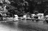 Image of sheet 19810191 photo 11: Aufbau AJZ Küche und Dach Junge bauen. Chaotikon in der Sihl Fluss Wasser Protest gegen Wohnungsnot Wohn Installation Zürich Feuer 

Baraken siedlung auf Pfosten, Küche  Christoph Müller Urs Morf Züri Leu housing 1981 Switzerland swiss Schweiz Europe youth movement Wohnen Kochen