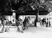 Image of sheet 19810192 photo 10: Jugendliche im Autonomen Jugendzentrum während den Jugendunruhen, Zürich 1981.