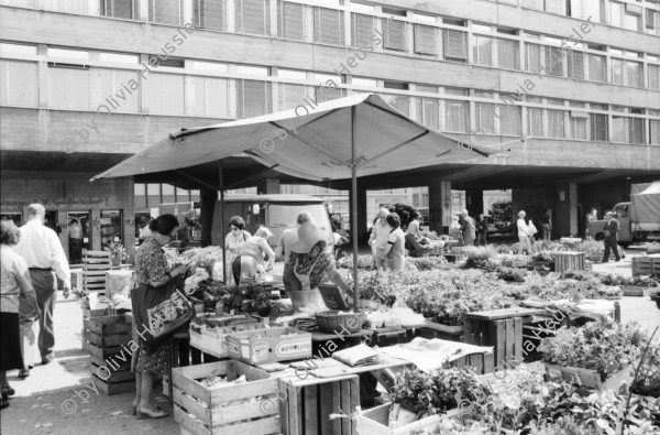 Image of sheet 19810210 photo 3: Marktstimmung auf dem Helvetiaplatz. Im Flughafen Zürich Kloten wird eine DC 10 auf den namen Ticino getauft. Musik wird gespielt auf dem Flug über Nizza und zurück. Piloten stehen da in Gruppen. Im Innern spielen 2 Männer aus einem Tessiner Musik Grüppli Turbine. Musiker Fahrrad und Flugzeug Rad.