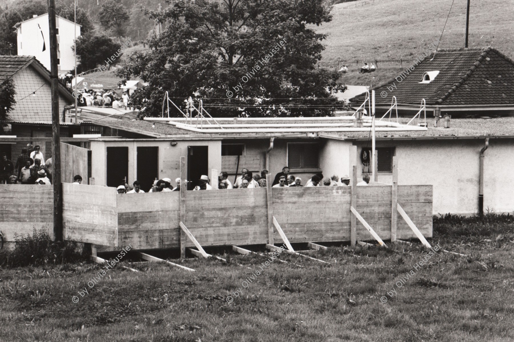 Image of sheet 19810250 photo 23: Männer provisorisches Pissoir am Schwinger fest. √ Sankt Gallen men piss