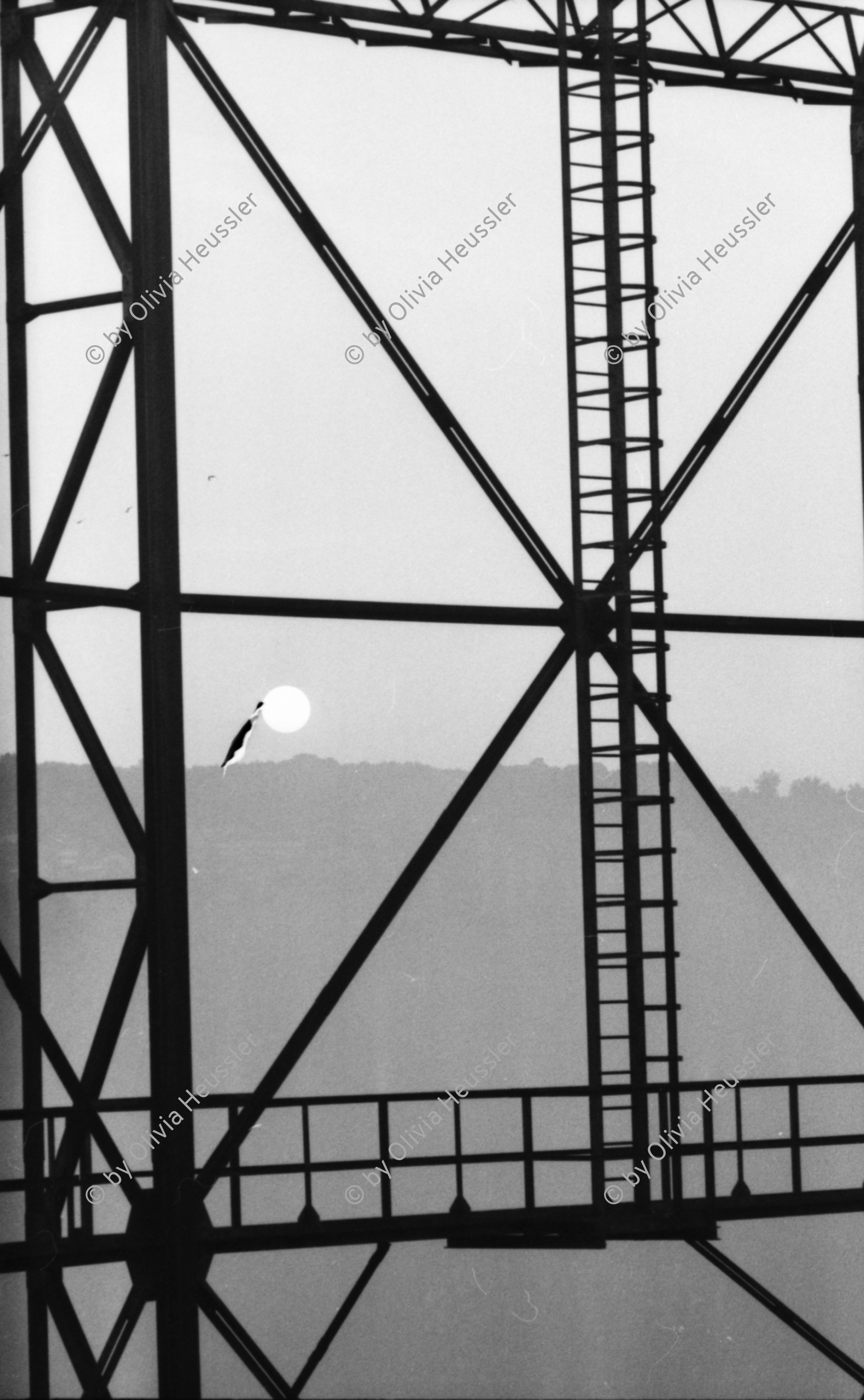 Image of sheet 19810340 photo 29: Sprengung Gaswerk Kohleturm Schlieren für Keystone  Tages Anzeiger
evtl. von Christoph Schuler fotografiert