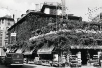 Image of sheet 19810360 photo 22: Efeuhaus Kreis 4 Kanonengasse Ecke Brauerstrasse  mit Hohlstrasse
Neg und Kontakt fehlt! Zürich 1981 Aussersihl √