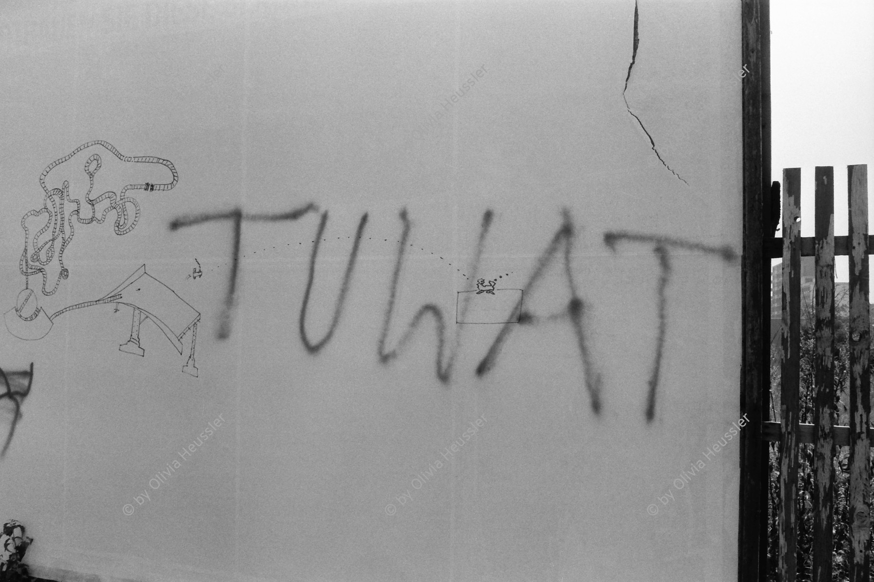 Image of sheet 19810370 photo 14: Berlin. Graffitis 
West Berlin Deutschland 1981 √ Tuwatt Tu Watt Graffiti

© 1981, by OLIVIA HEUSSLER / www.clic.li