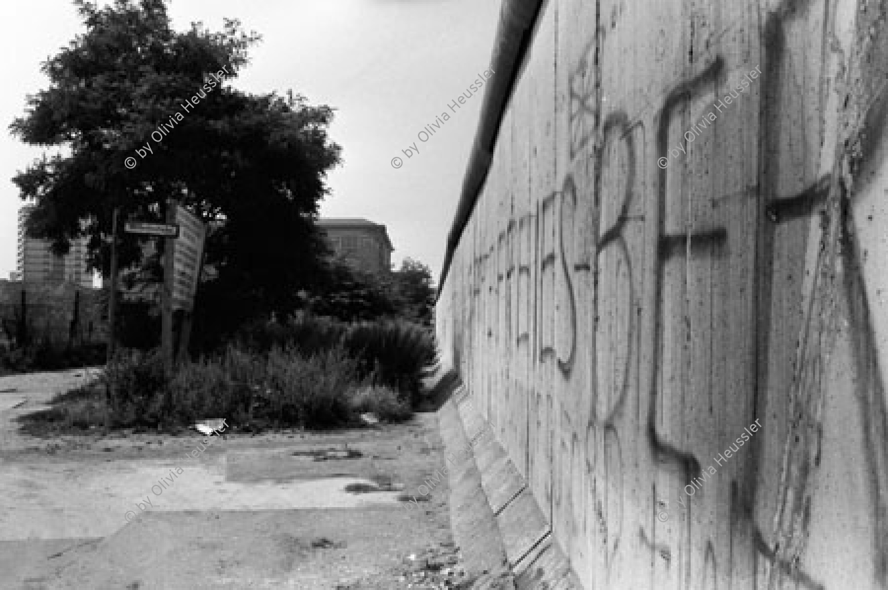 Image of sheet 19810370 photo 17: Berlin. Die Mauer vom Westen in den Osten. West Berlin Deutschland Germany Graffiti
© 1981, by OLIVIA HEUSSLER