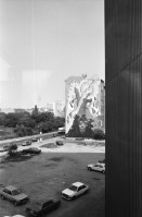 Image of sheet 19810370 photo 25: G