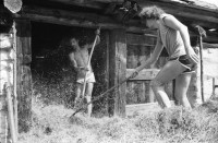 Image of sheet 19810490 photo 2: Städter helfen Kollegen beim Heuen auf Alp 
Christoph Schuler Tessin 1981