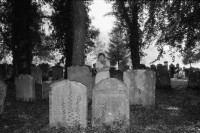 Image of sheet 19810510 photo 12: Jüdischer Friedhof Lengnau, Aargau 1981. Alte Grabsteine mit hebräischer Inschrift. Alte Bäume.
Ruth Guggenheim.
