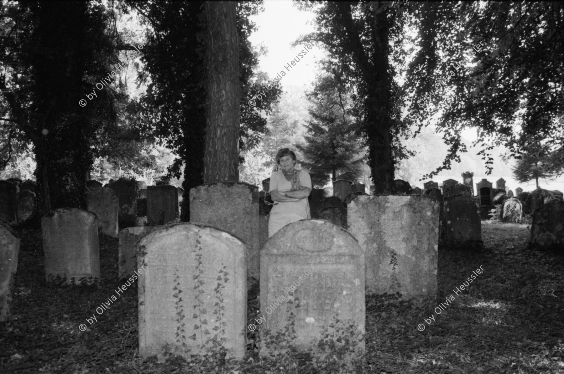 Image of sheet 19810510 photo 12: Jüdischer Friedhof Lengnau, Aargau 1981. Alte Grabsteine mit hebräischer Inschrift. Alte Bäume.
Ruth Guggenheim.