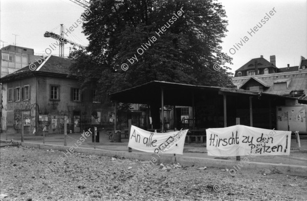 Image of sheet 19810580 photo 3: youth movement