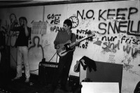 Image of sheet 19810580 photo 36: Konzert mit Plaza Jörg Walker, im Wibi Keller Weinbergstrasse Zürich Wohngemeinschaft WG Wohnen Zürich 1981