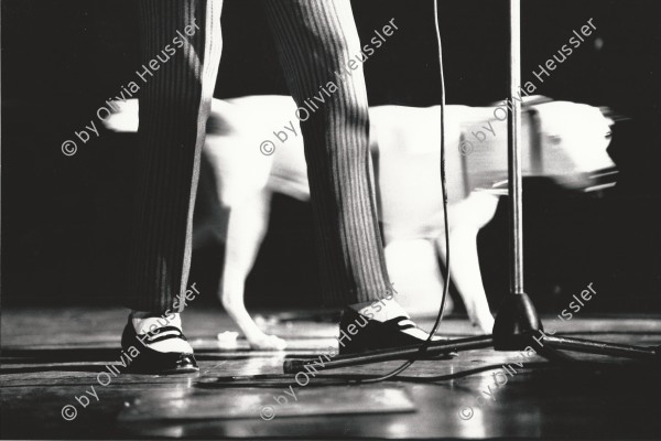 Image of sheet 19810600 photo 29: Ein Hund waehrend einem Konzert mit John Cooper Clarke, Wolfenschiessen 1981.

Exil verkauft.

Plakatvorlage für Peter Bäders Plakat zu Tonmodern Festival in der Roten Fabrik
Punkrock music concert festival dog musician rock stage microfon shoes feet 

Schweiz Switzerland swiss Europe
Out of: From time to time  / VonZeitzuZeit


inkjet 30 x 44 cm auf alu aufgezogen im aug 2017 an Katherine und Philippe Dreiding Israel
Exhibition: The eighties. Photobastei 2.0 2020
Shadows and other Natures