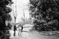 Image of sheet 19810670 photo 11: Trauerkundgebung zum Tod von Gabriella Eberle. (gest. 17.11.81) Stauffacherstrasse Engelstr. Luft und Lärm. Grab Friedhof Zürich 1981