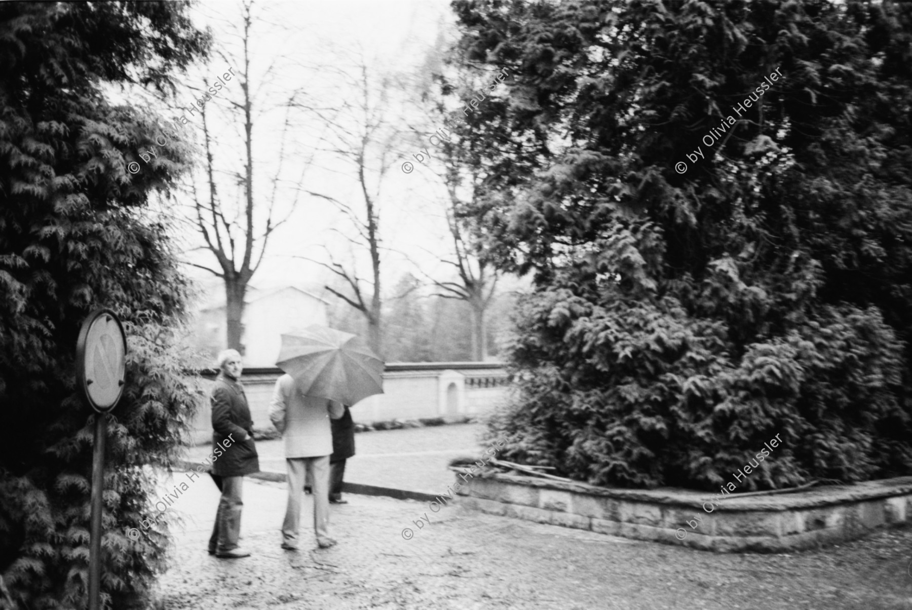 Image of sheet 19810670 photo 11: Trauerkundgebung zum Tod von Gabriella Eberle. (gest. 17.11.81) Stauffacherstrasse Engelstr. Luft und Lärm. Grab Friedhof Zürich 1981