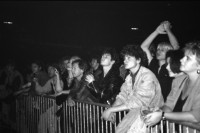 Image of sheet 19810683 photo 18: Besucher Innen am Konzert von The Bucks im Hallenstadion, Zürich 1981.