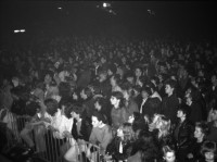 Image of sheet 19810683 photo 2: Besucher Innen am Konzert von The Bucks im Hallenstadion, Zürich 1981.