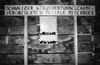 Image of sheet 19810690 photo 10: Schweizer Strassentunnel Champignon Zuechter Filiale Milchbuck, Zuerich 1981.