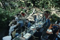 Image of sheet 19813001 photo 10: zur bearbeitung