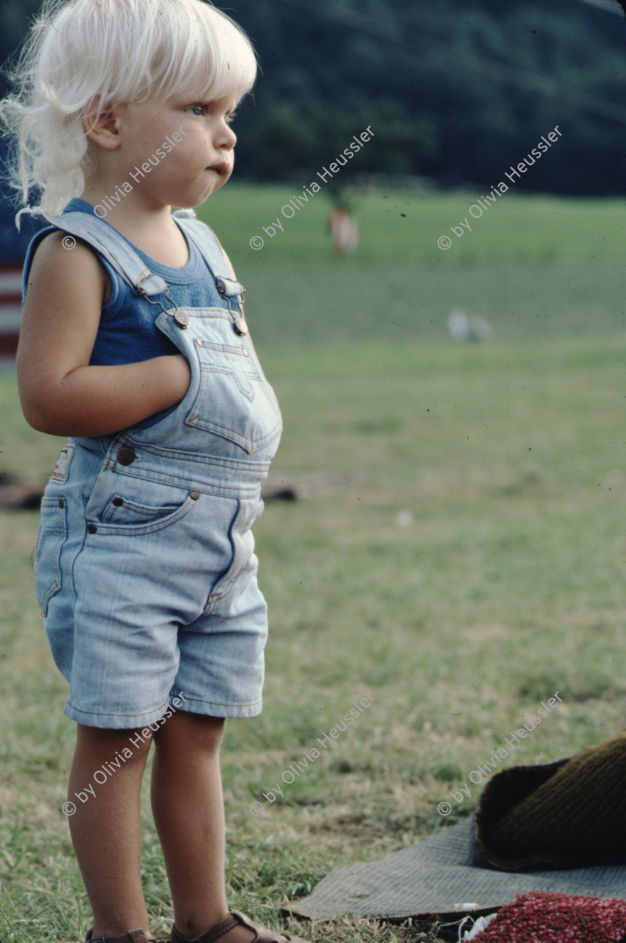 Image of sheet 19813004 photo 13: zur bearbeitung