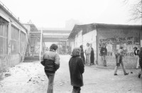Image of sheet 19820030 photo 4: Im autonomen Jugendzentrum AJZ im Winter in Zuerich 1980.
Jugendbewegung Zürich