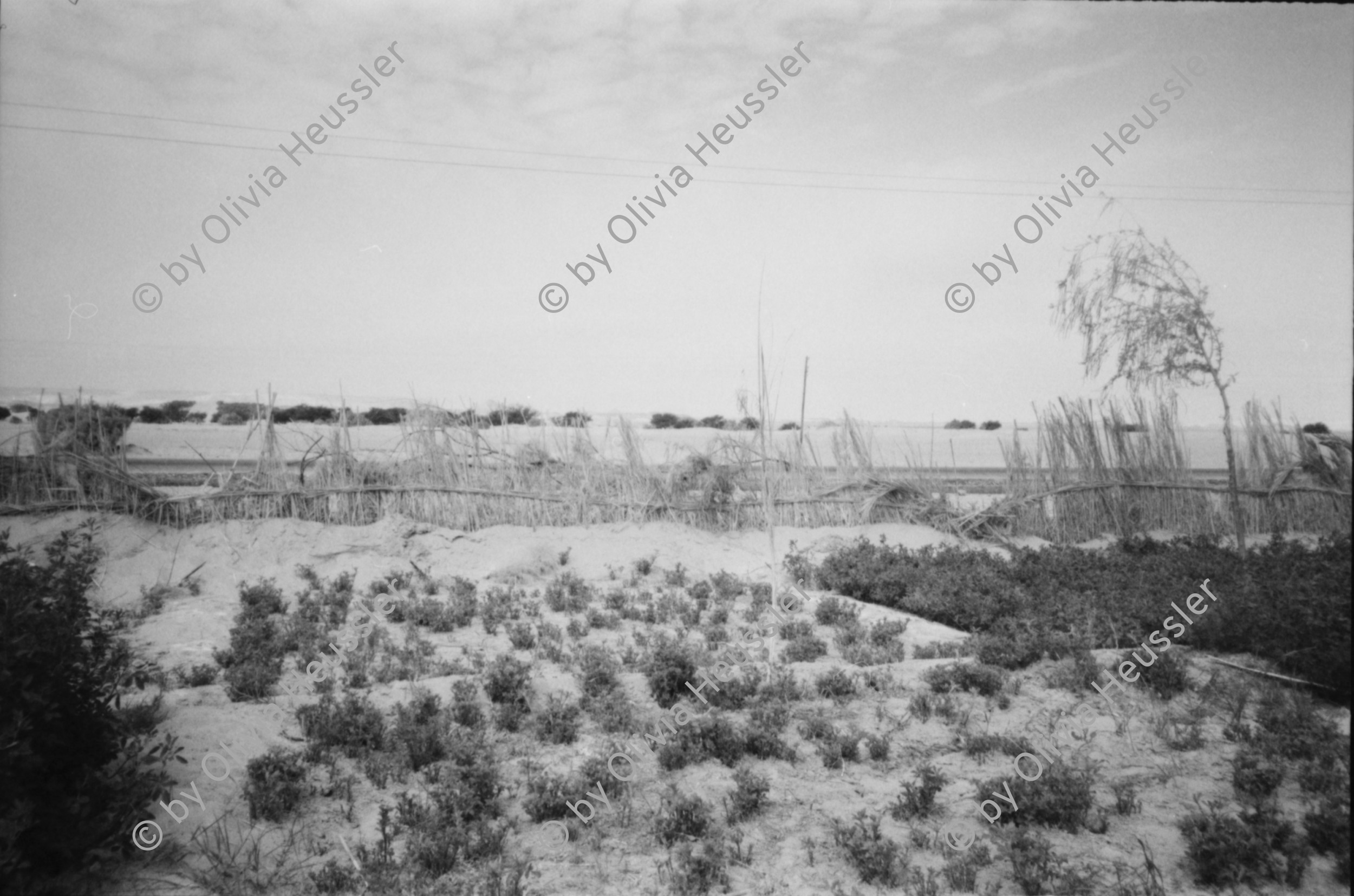 Image of sheet 19820130 photo 29: © 1982, by Olivia Heussler www.oliviaheussler.com Photo Home in Kairo. Aegypten. Strassenszene. Mann trägt Bündel auf Kopf. Im Schwimmbad. Mann transportiert Blumenkranz auf Fahrrad. In Bäckerei. Tee verkäufer. Katze auf Sofa. Islamischer Mann betet. Nil Staudamm von Assuan. Militärposten in der Wüste. Zwei Kapitäne Beamte mit weissen Kappen besteigen das Schiff in Italien. Piramiden Giza. Anpflanzung in der Wüste. Ägypten 1982 Reise mit Koni Frei u.v.a. Toyota Jeeps für Eritrea 
Militärposten in der Wüste. Aegyptens Grenze zu Sudan. Expedition Mission Help aid für Eritrea. Toyota Jeep Landcruiser 1982 √
Military outpost in the desert. Egypt border with Sudan.